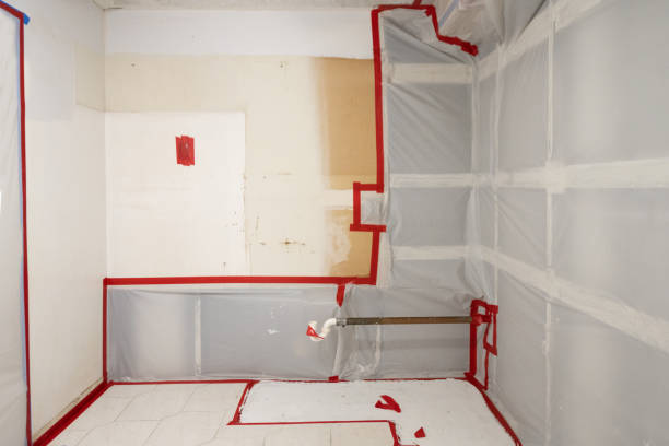 Best Mold Removal for HVAC Installations  in Wahpeton, ND