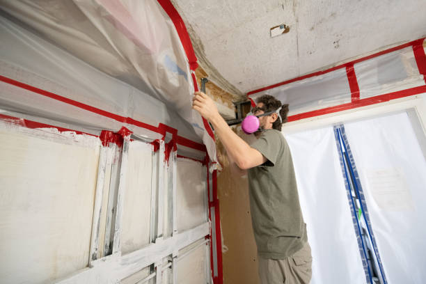 Best Asbestos and Lead Testing During Mold Inspection  in Wahpeton, ND